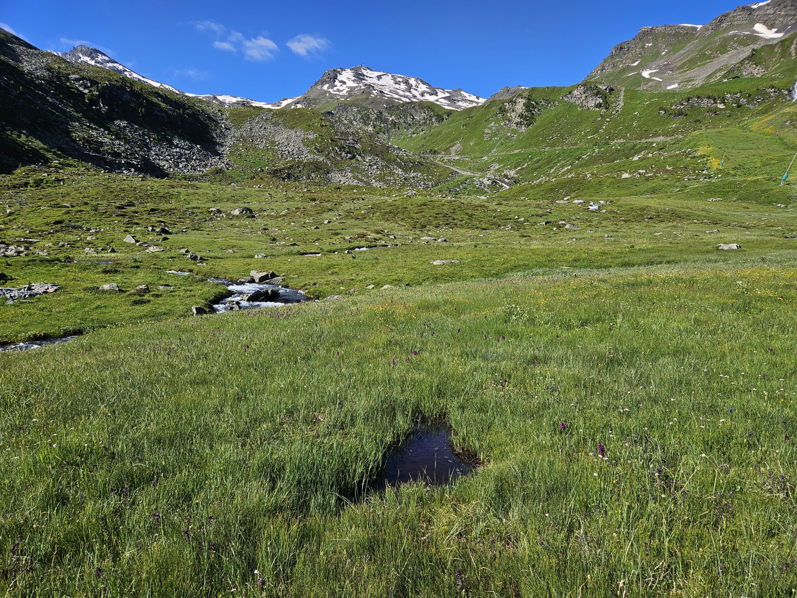 ZoneHumidePlanDesMains_MéribelMottaret